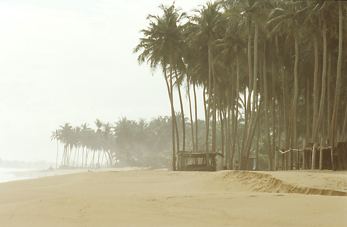 Nettoyage de Plage